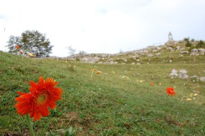 BURNING_CEMETERY_FABIO_ZANCAN_173