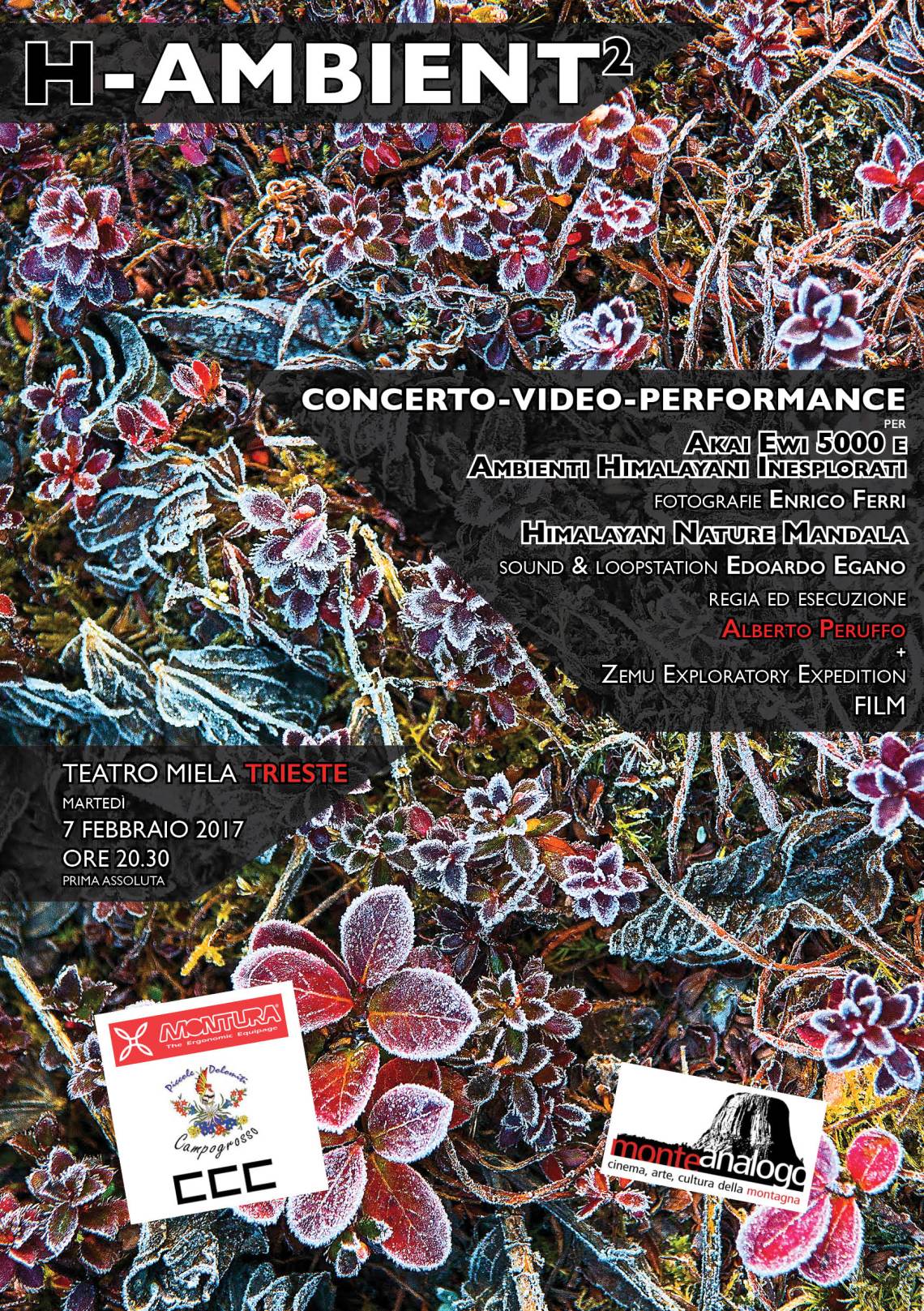 h-ambient_manifesto_trieste_versione_piena2